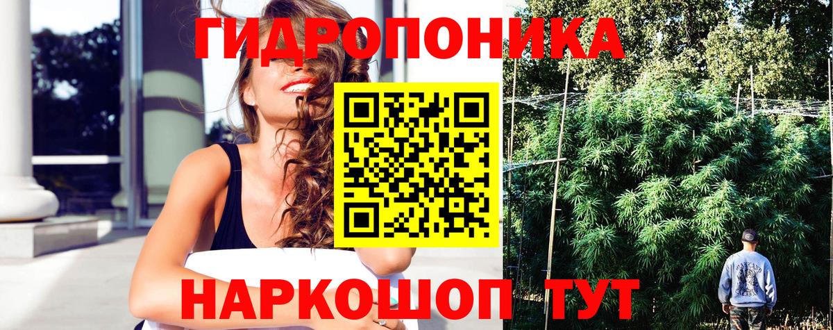 Каннабис конопля Липецк
